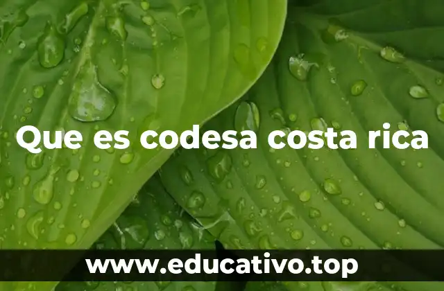 Que es codesa costa rica