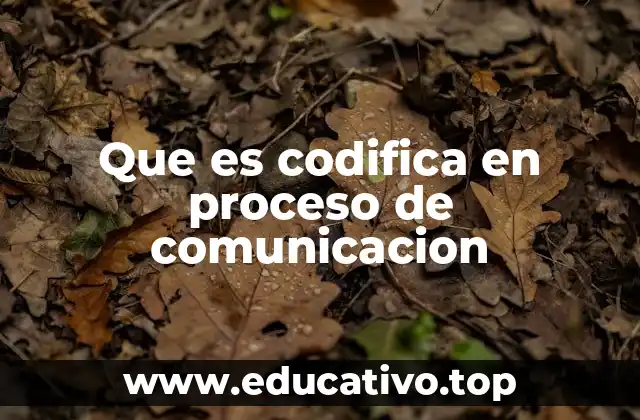 Que es codifica en proceso de comunicacion