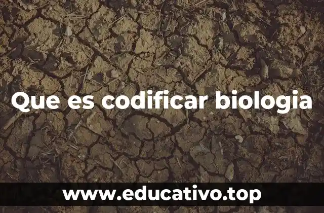 Que es codificar biologia