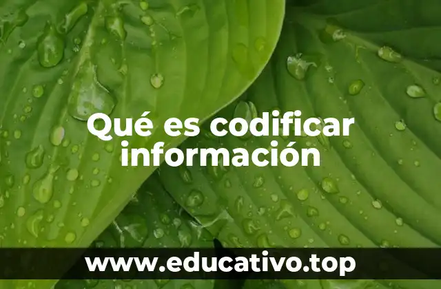 Qué es codificar información