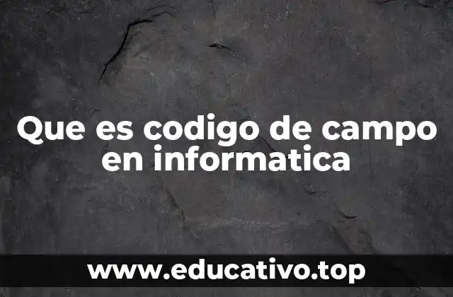 La importancia de los códigos en la organización de datos