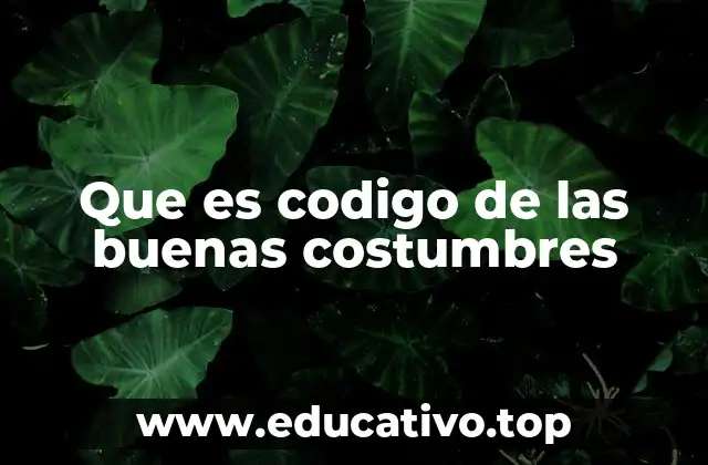 Que es codigo de las buenas costumbres