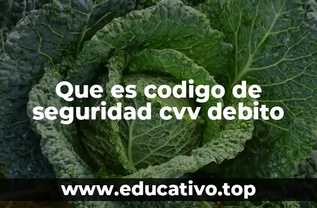 Que es codigo de seguridad cvv debito