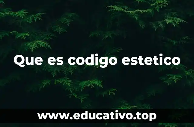 Que es codigo estetico