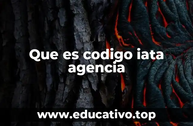 Que es codigo iata agencia