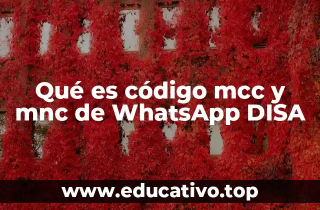 Qué es código mcc y mnc de WhatsApp DISA