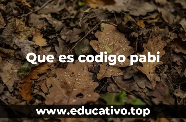 Que es codigo pabi