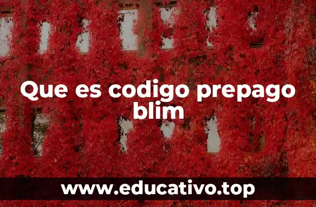 Que es codigo prepago blim