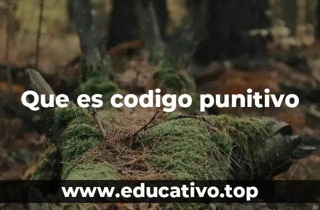 Que es codigo punitivo