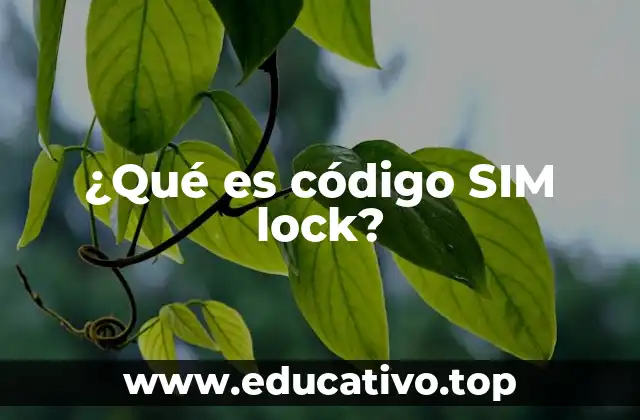 ¿Qué es código SIM lock?