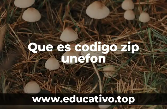 Que es codigo zip unefon