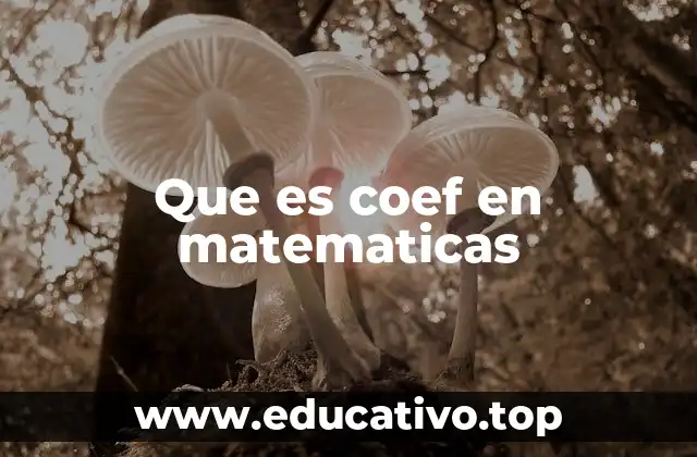 Que es coef en matematicas