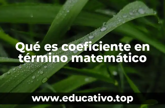 Qué es coeficiente en término matemático