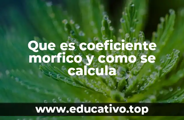 Que es coeficiente morfico y como se calcula