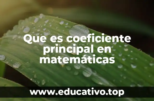 Que es coeficiente principal en matemáticas