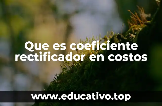 Que es coeficiente rectificador en costos