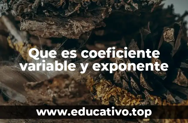 Que es coeficiente variable y exponente