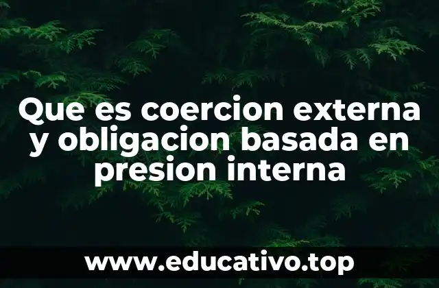 Que es coercion externa y obligacion basada en presion interna