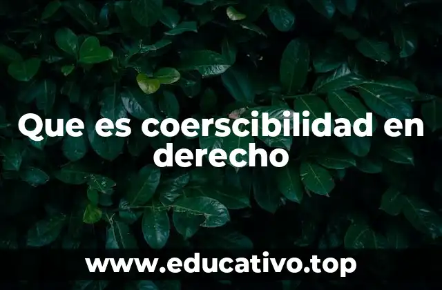 Que es coerscibilidad en derecho