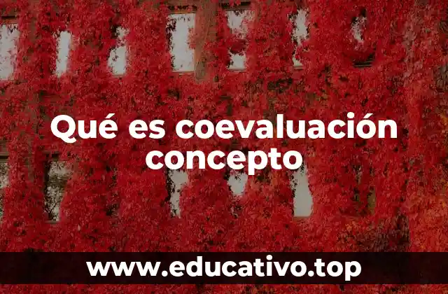 Qué es coevaluación concepto