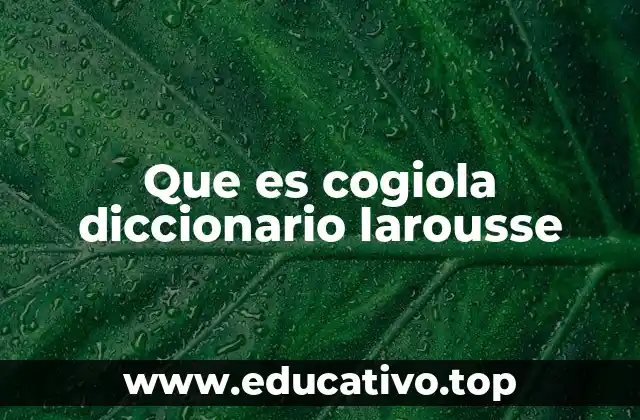 Que es cogiola diccionario larousse