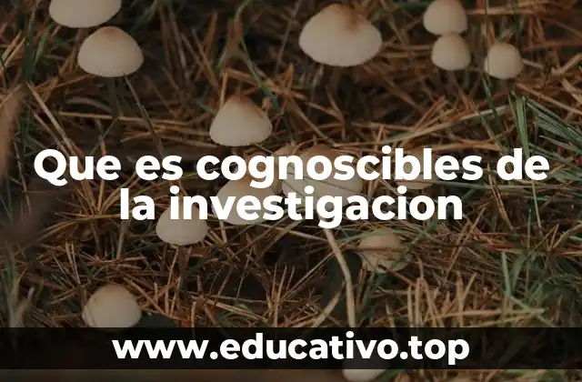 Que es cognoscibles de la investigacion
