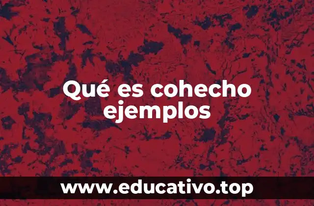 Qué es cohecho ejemplos