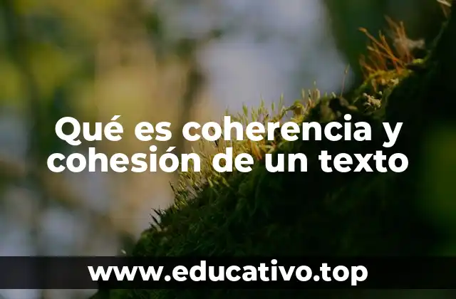 Qué es coherencia y cohesión de un texto