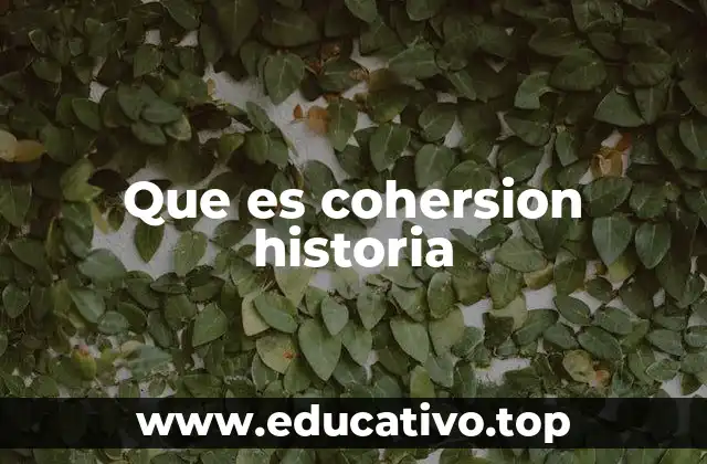 Que es cohersion historia