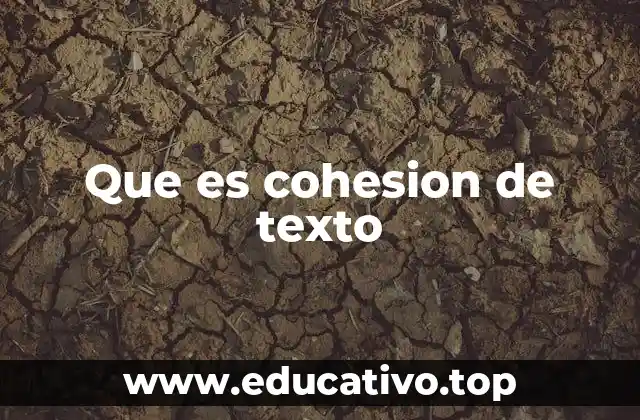 Que es cohesion de texto