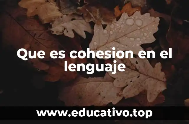 Que es cohesion en el lenguaje