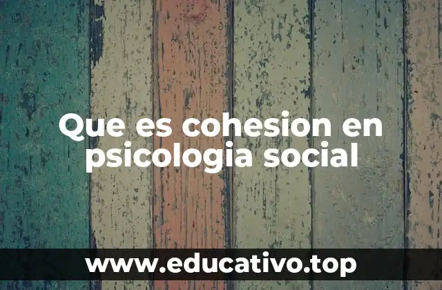 Que es cohesion en psicologia social