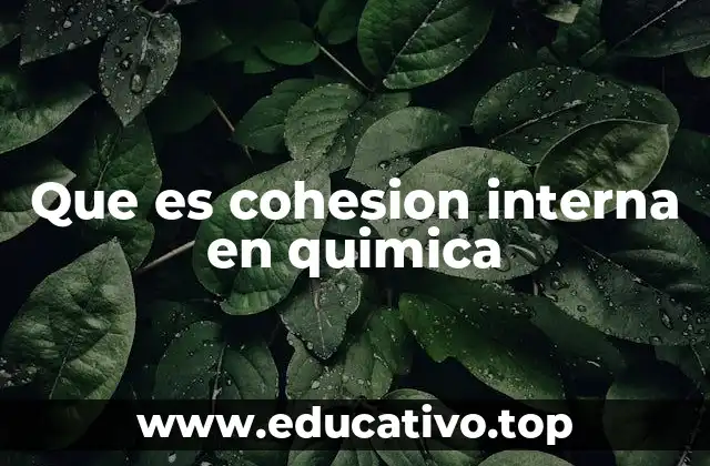 La importancia de las fuerzas intermoleculares en la cohesión