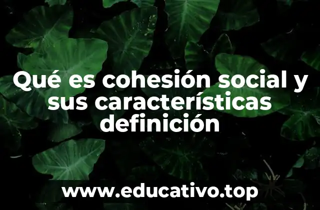 Qué es cohesión social y sus características definición