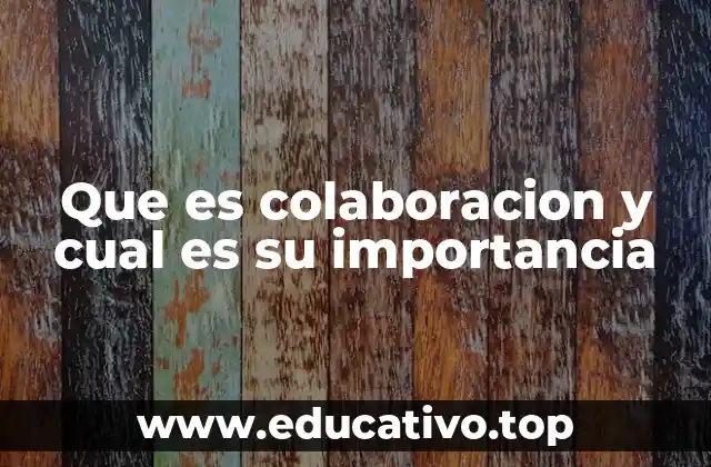 Que es colaboracion y cual es su importancia