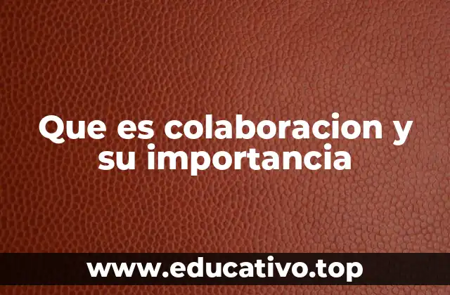 Que es colaboracion y su importancia