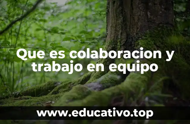 Que es colaboracion y trabajo en equipo