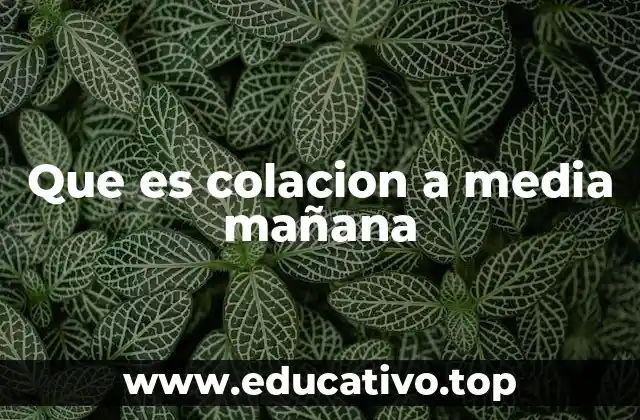 Que es colacion a media mañana