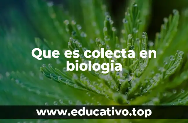 Que es colecta en biologia