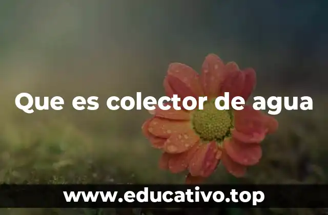 Que es colector de agua