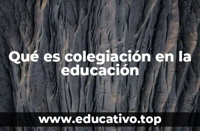 Qué es colegiación en la educación