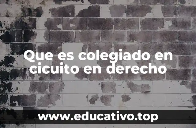 Que es colegiado en cicuito en derecho