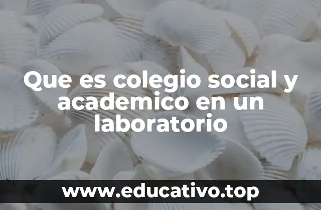 Que es colegio social y academico en un laboratorio
