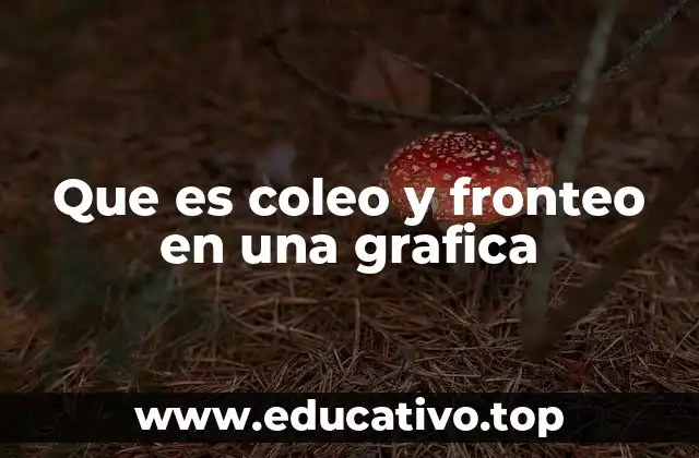 Que es coleo y fronteo en una grafica