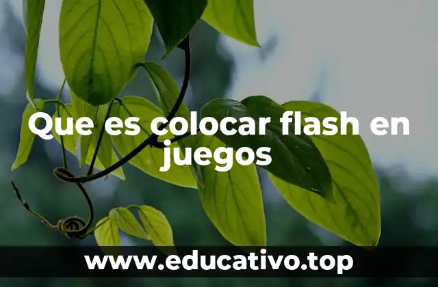 Que es colocar flash en juegos