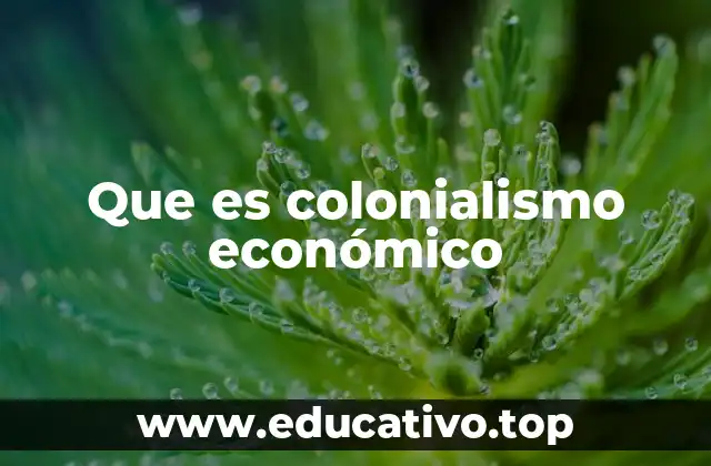 Que es colonialismo económico