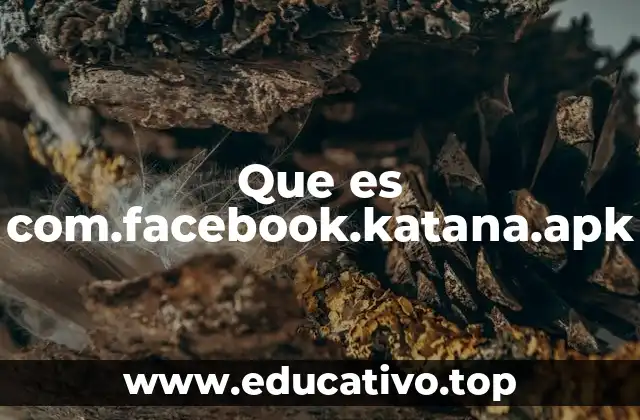 Que es com.facebook.katana.apk