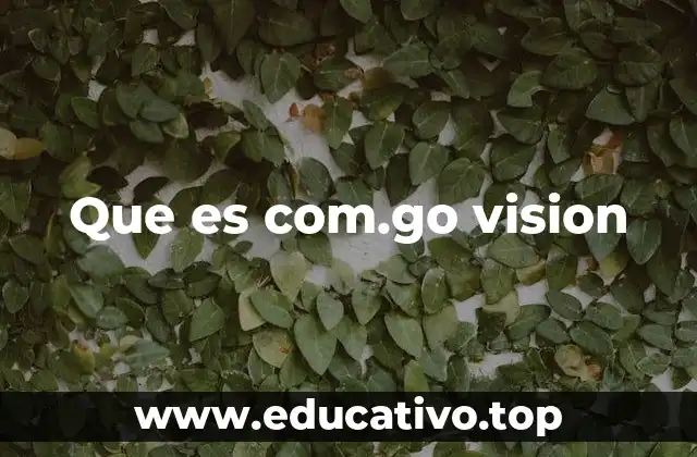 Que es com.go vision