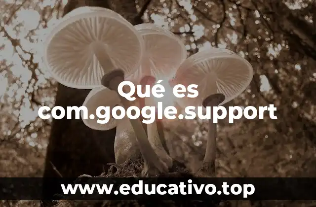 Qué es com.google.support