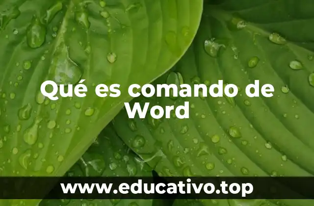 Qué es comando de Word